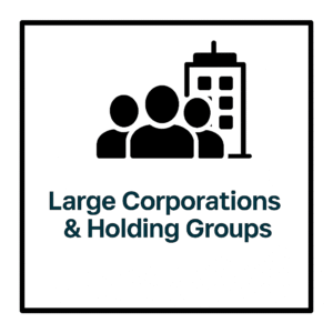 Corporate Structure Icon